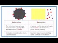Adsorption vs Absorption Concepts