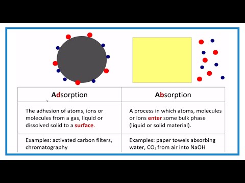 Adsorption vs Absorption (Difference between Adsorbing and Absorbing)