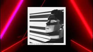 Hardwell vs. Jonathan Mendelsohn - GODD vs. Echo (Hardwell Mashup)