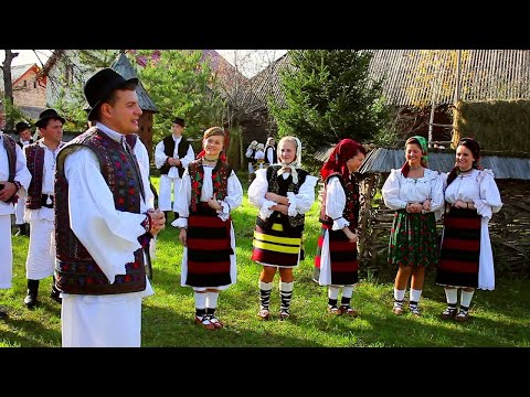 Alexandru Pop - Zî-mi pă voie ceteras