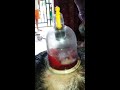 Mantan Pemakai Narkoba Di Bekam Di Kepala Mantan Pemakai Narkoba Di Bekam Di Kepala