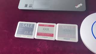 4. 2-inch, 2.4G base station version