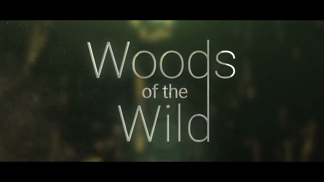 Sonuscore Composer Of The Year Award 2023 Submission Remo Izzi 