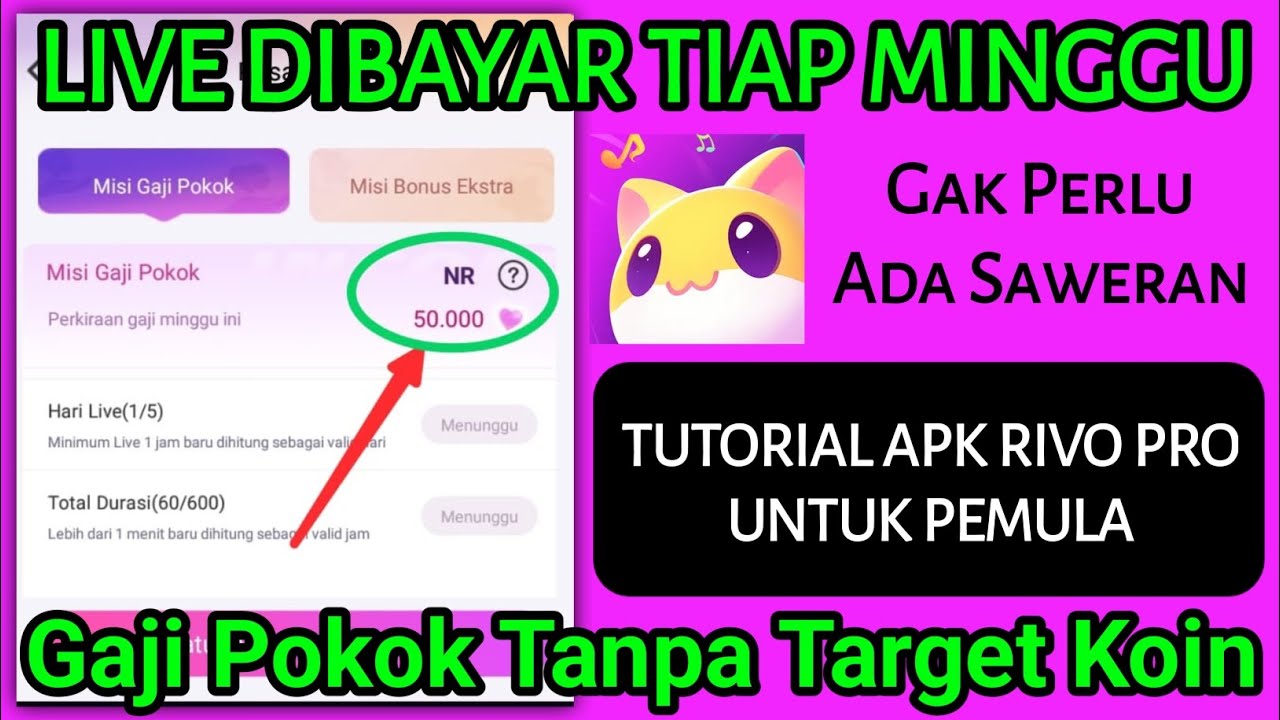 Gaji Pokok Host Tanpa Target || Tutorial Apk Rivo Live Pro Untuk Pemula