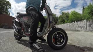 Roost 100cc Havoc Unleashed