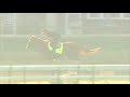 Justify Gallop 5.25.18