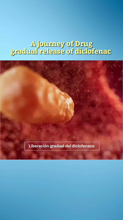 ADME of Drugs #biology #neet #bodysystem #science #microscope