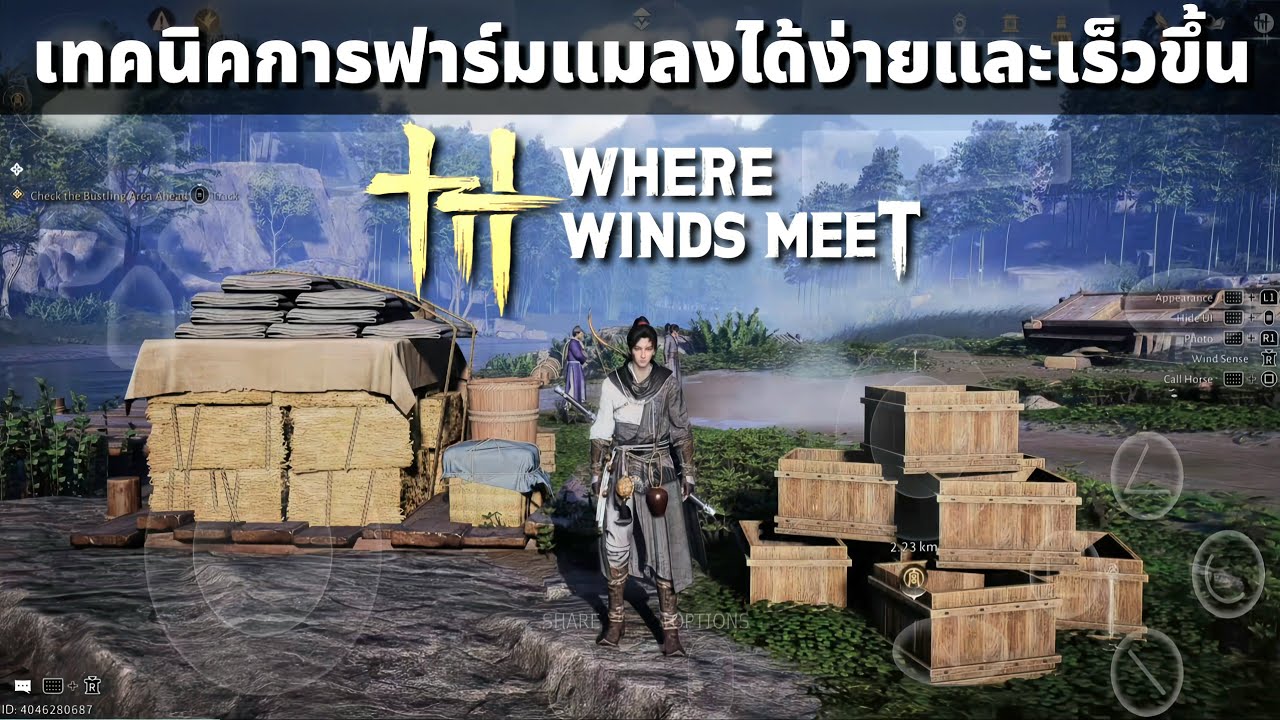 Where Winds Meet เทคนิคการฟาร์มแมลงได้ง่ายและเร็วขึ้น