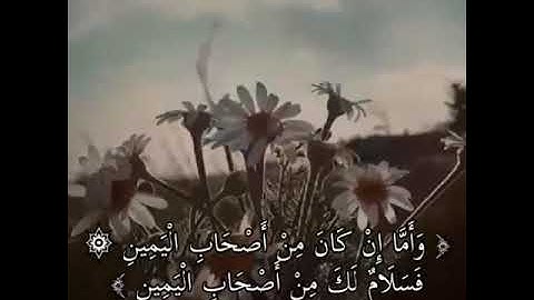 "فلولا اذا بلغت الحلقوم" تلاوة مبكيه😭