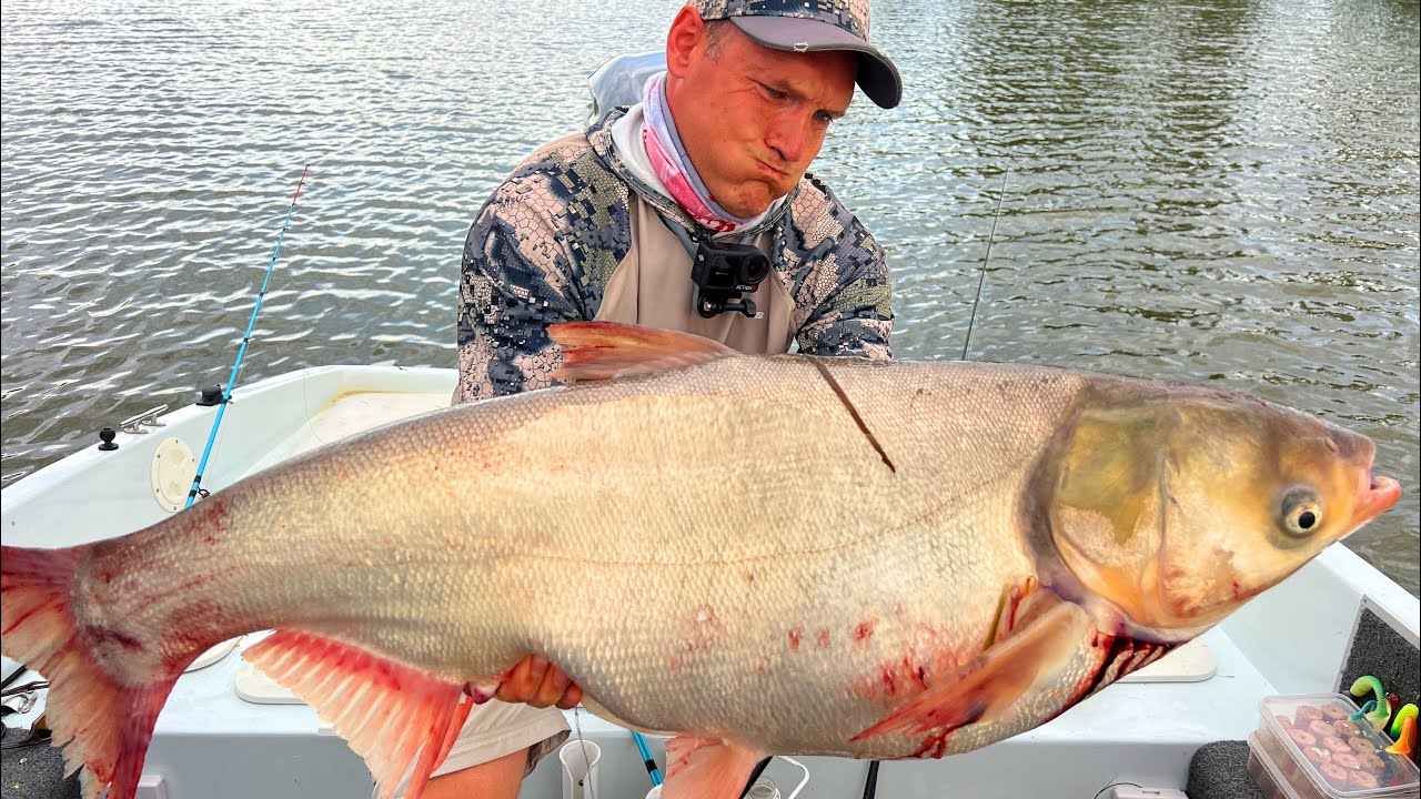 ЭТО МОНСТР! КЛЁВ ВЕЗДЕ, ВСЕГО и СРАЗУ! САЗАН, ЖЕРЕХ и СОМ! Рыбалка в Астрахани  с сыном 2