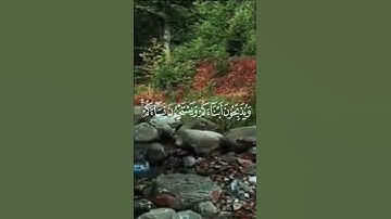 تلاوة خاشعة من سورة إبراهيم بصوت محمد عدس | خير أمة