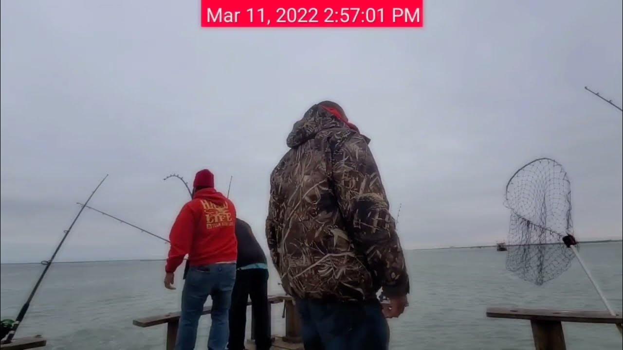Rocking and rolling big fish of Cosway Pier battling big brutes before