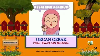Materi Kelas 5 Tema 1 Subtema 1 (Organ Gerak pada Hewan dan Manusia ) Part 1