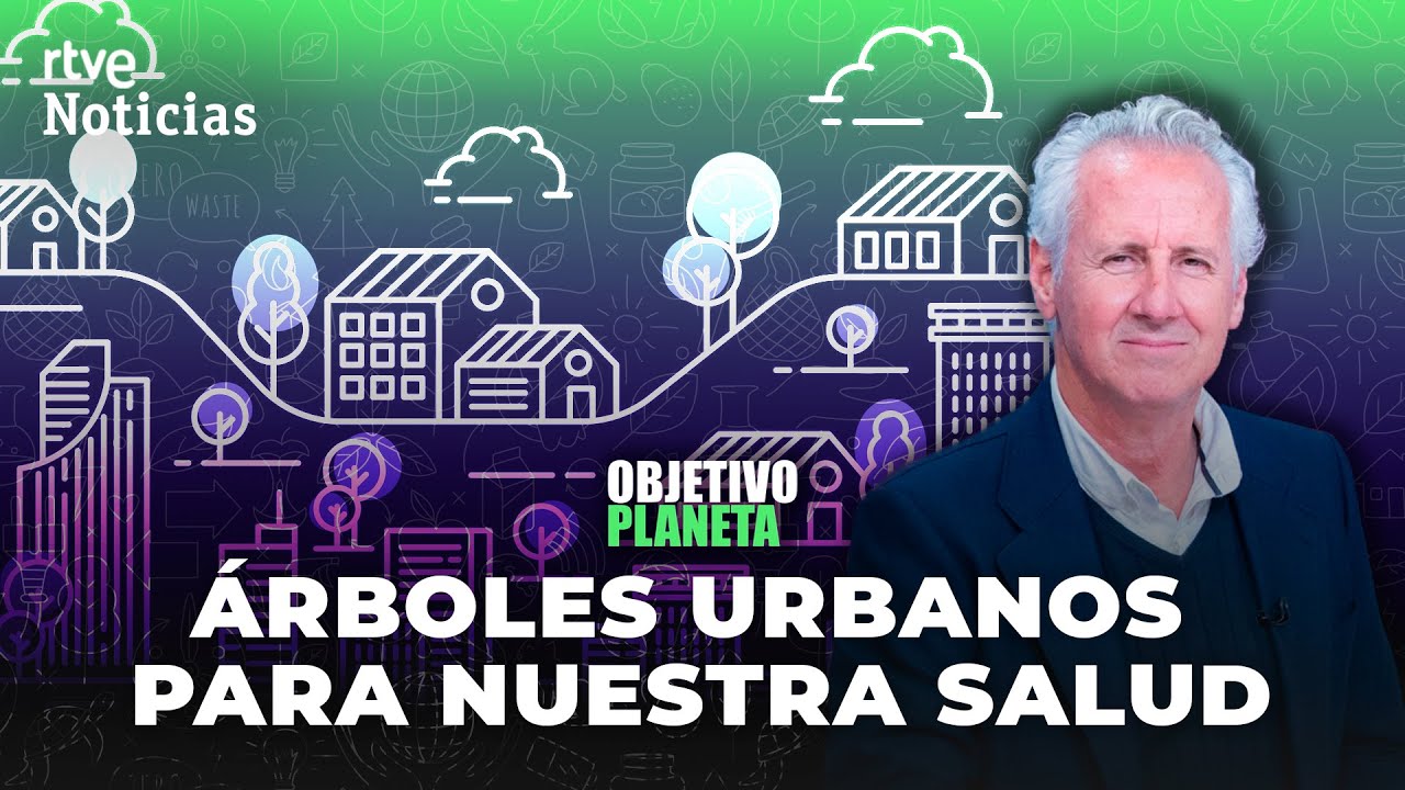 ÁRBOLES: LORENZO MILÁ nos cuenta cómo modifican el MEDIOAMBIENTE | RTVE