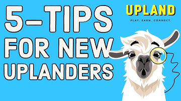 Upland Game Strategy // 5 TIPS FOR NEW UPLANDERS // Top 5 tips that EVERY new Uplander should know