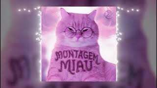 Montagem Miau (SLOWED)