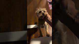 Check Out My Latest Video