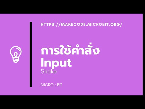 การใช้คำสั่ง input+shake