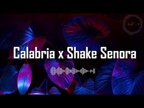 Calabria X Shake Senora Mashup Pitbull Ft T Pain Sean Paul X Enur Ft Natasja 
