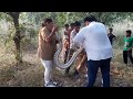 snake catcher india gujrat valsad vapi Bhavna patel mo 9328097271  jeevdaya group valsad pardi vapi