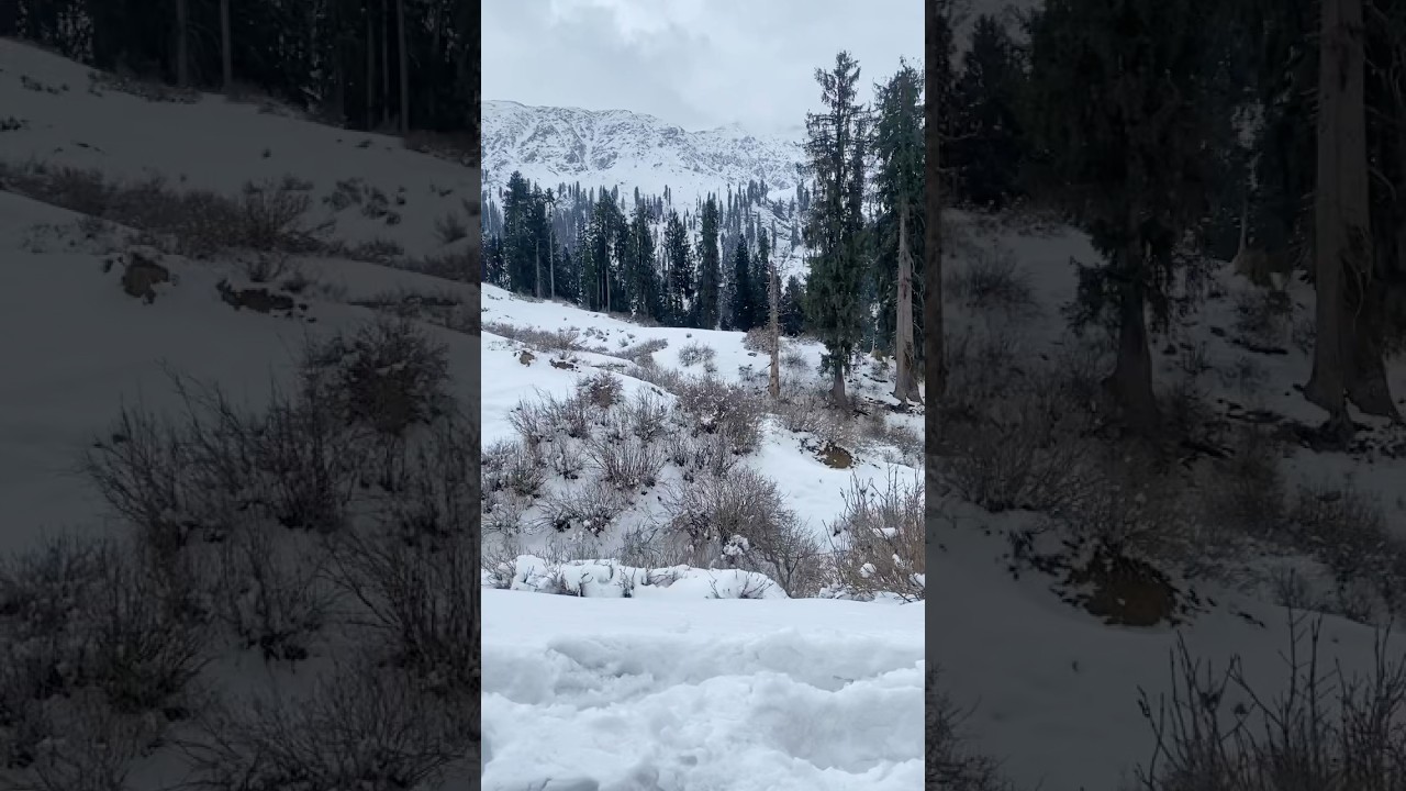 GABEENJABBA Swat Full Video Link Discraption 