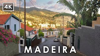 видео: Откройте для себя МАДЕЙРУ 🇵🇹 | Закат в Городе Фуншал | 4K Живописная Автоэкскурсия по Португалии картинка: Откройте для себя МАДЕЙРУ 🇵🇹 | Закат в Городе Фуншал | 4K Живописная Автоэкскурсия по Португалии