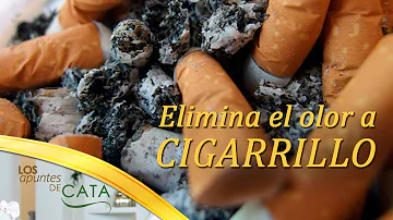 ¿El vinagre blanco absorbe el humo del tabaco?