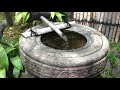 Original Landscape - 日本原風景- （三渓園）