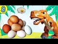 T-rex lay real dino eggs! Skyheart&#39;s dinosaur toys for kids jurassic world mattel fisher price fight