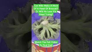 Watch Milo undertake the Moldmaking Challenge - Broccoli Edition! #smoothon #moldmaking