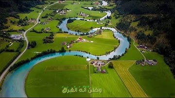 سورة القيامة من الآية (20) إلي الآية (40)