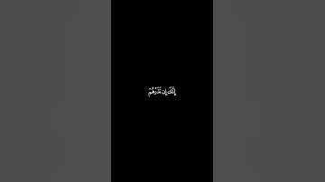 تلاوة من سورة نوح//للقارئ بدر التركي//شاشة سوداء #لا_تنسوا_الدعاء_لأهلنا_في_غزة🇵🇸