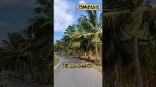 22 cent farm land for sale. Call: 7200490246. #tenkasi #realestate #investment #farmlife