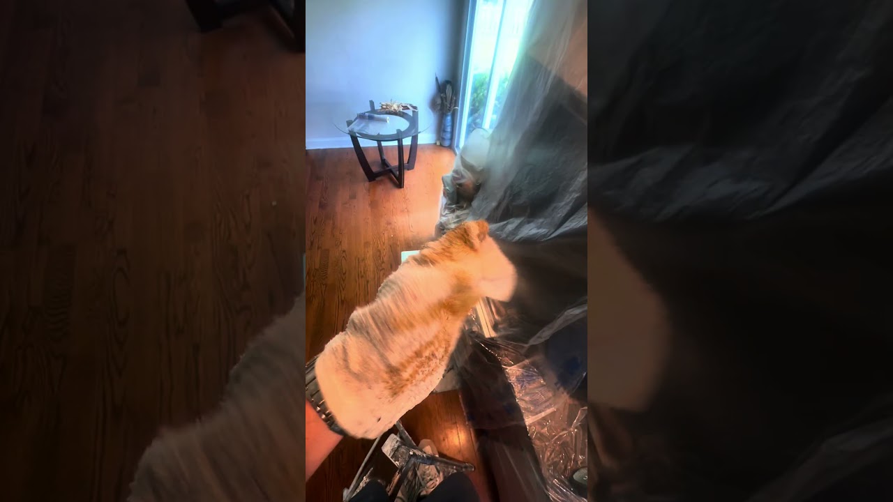 Только представьте, что происходит у вас в лёгких 💀