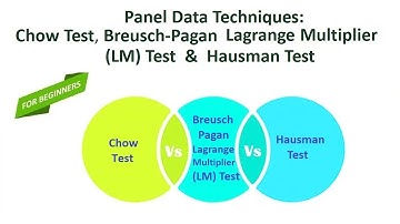 Panel Data Techniques  | Chow Test, Breusch-Pagan Lagrange Multiplier LM Test and Hausman Test