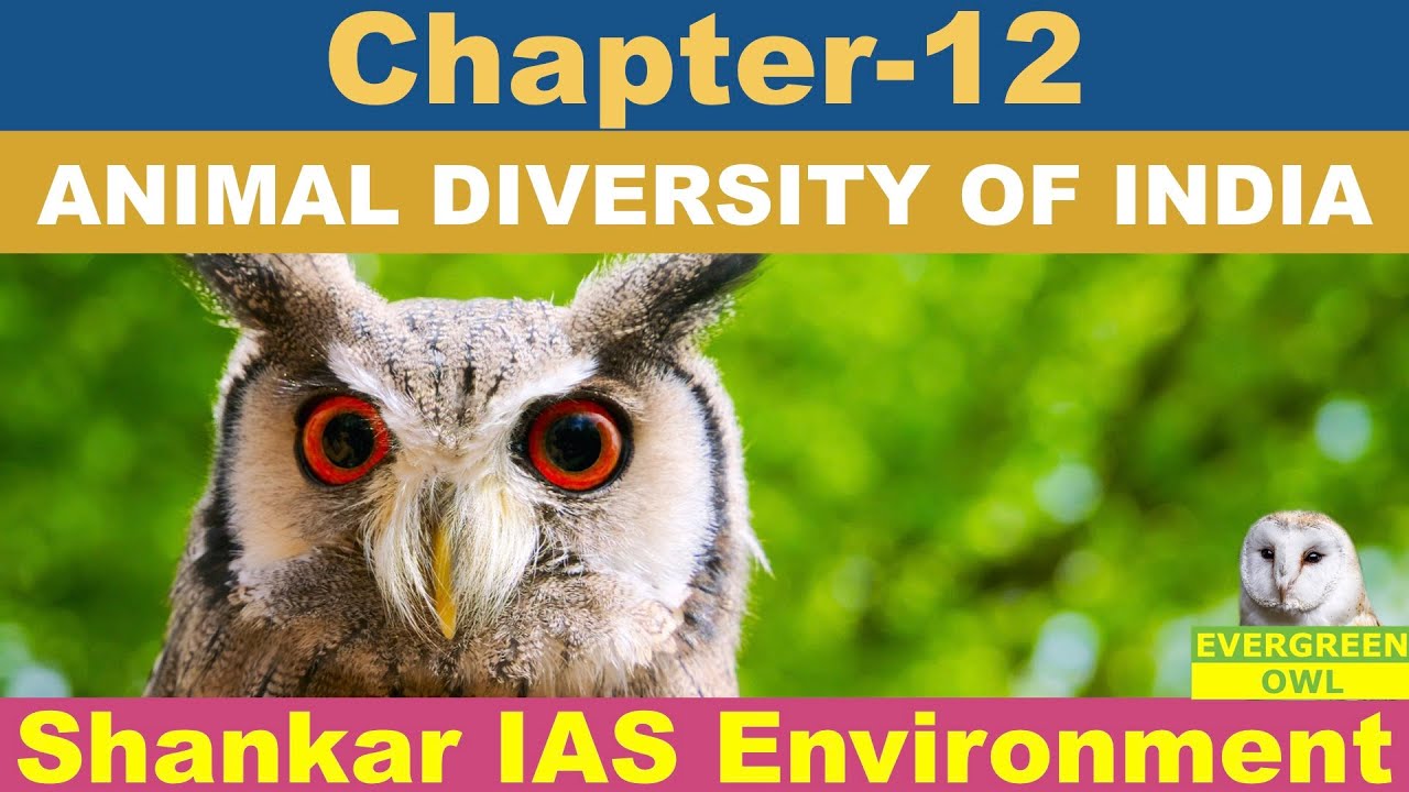 Shankar IAS Environment: Chapter-12 Animal Diversity of India | For UPSC,  SSC, State PCS etc. - YouTube