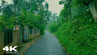 Whispering Winds & Rain: A Quiet Walk in the Emerald Village | ASMR Village Rain Walk: Deep Sleep screenshot 1