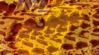 Dirk Rop Youtube Kanaal Intro