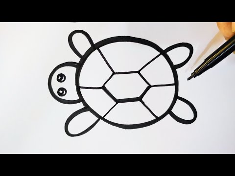 Turtle drawing | how to draw a turtle easily 