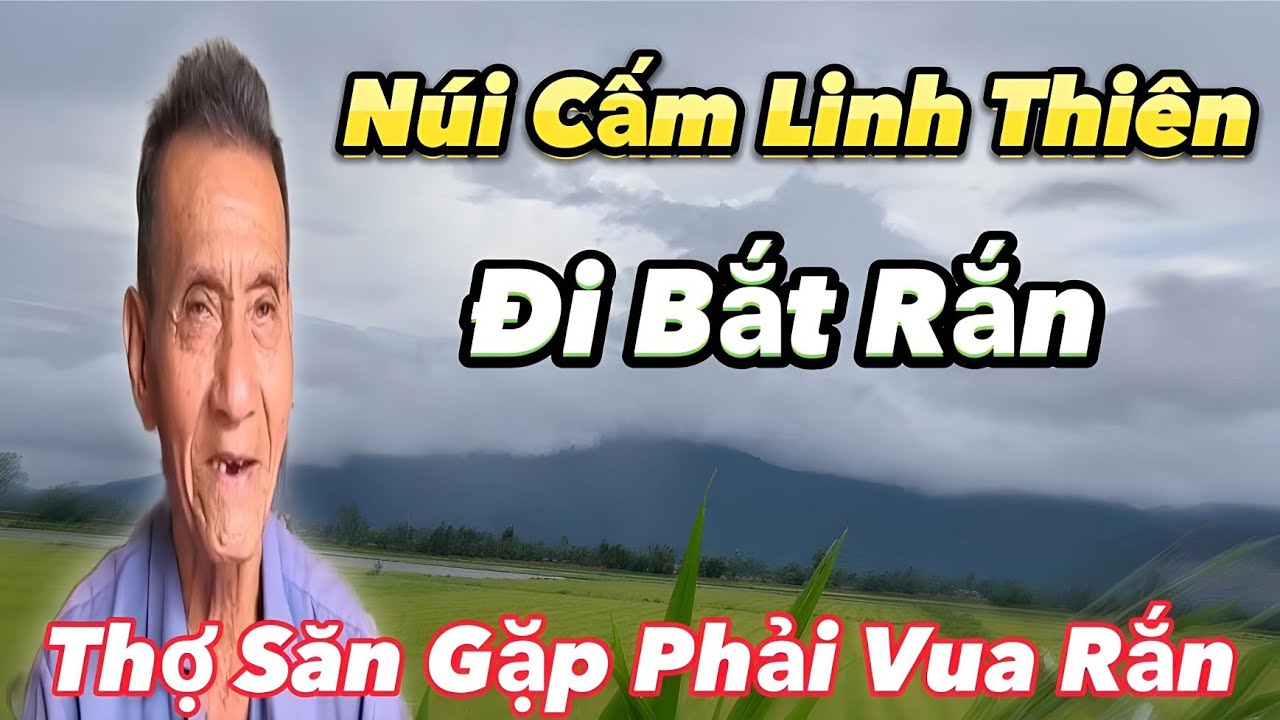 núi Cấm Linh Thiêng đi bắt rắn thợ săn gặp phải vô rắn...
