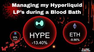 Hyperliquid DeFi Update: Surviving the HYPE &amp; BTC Crash - HYPE/USDC LP Strategy + Metrix Finance