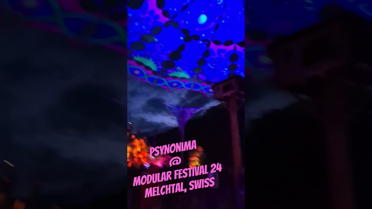 Psynonima @ Modular Festival 2024 / Melchtal Switzerland