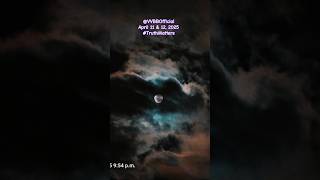 Virtusveritas Life Love April 11 12, 2025 Honor, Dignity The Pursuit Of Truthmtl