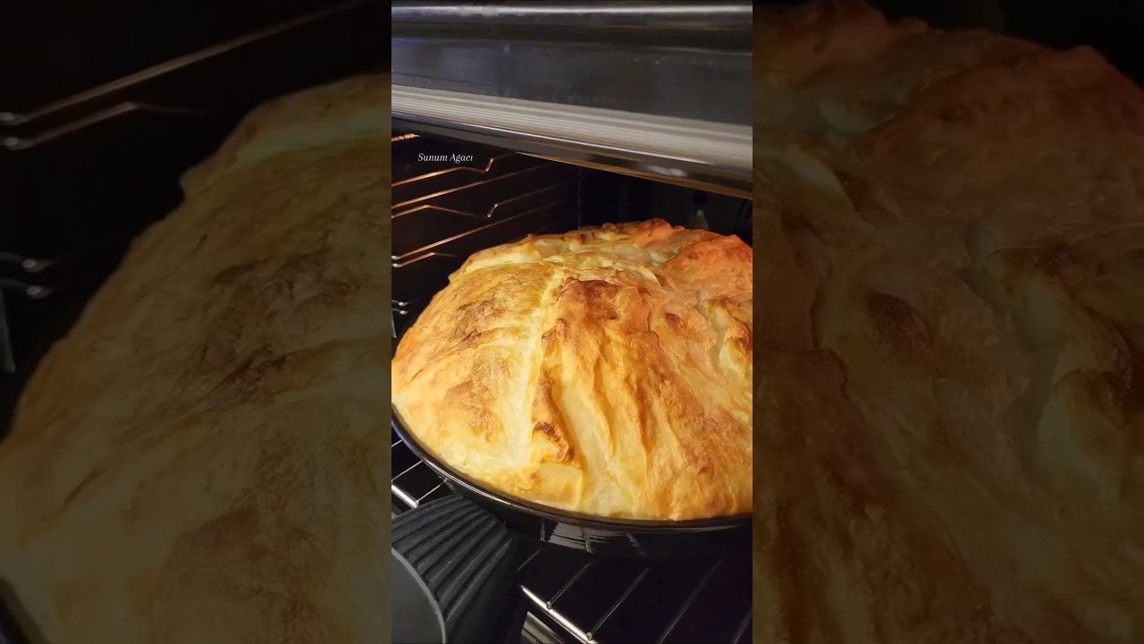 Yalancı su böreği tarifi nasıl yapılır #shorts #börek Yalancı su böreği tarifi nasıl yapılır #shorts #börek