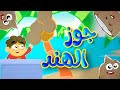 جوز الهند طيور بيبي Toyor Baby 