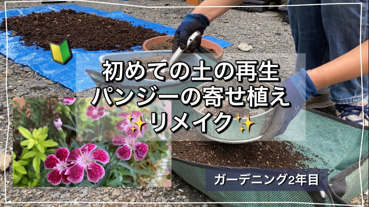 ガーデニング2年目 初の土の再生に挑戦 パンジーの寄せ植えリメイク Youtube