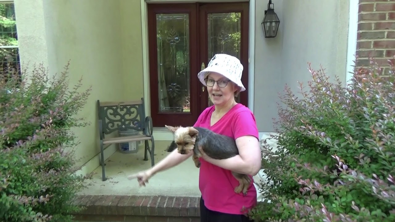 Thank You Mrs Linda 676 Bolum YouTube