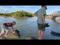 Martinique/ The town of Sainte-Anne and its surroundings/ Les Salines Beach/ Trace des Caps