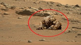 Mars Rover 4k Perseverance Footage Sol 201