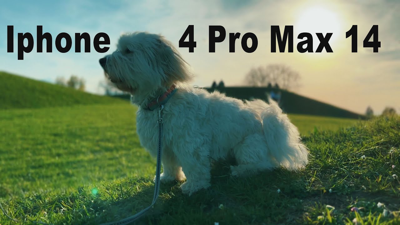 IPhone 14 Pro best cinematic video I CINEMATIC MODE 4K - YouTube